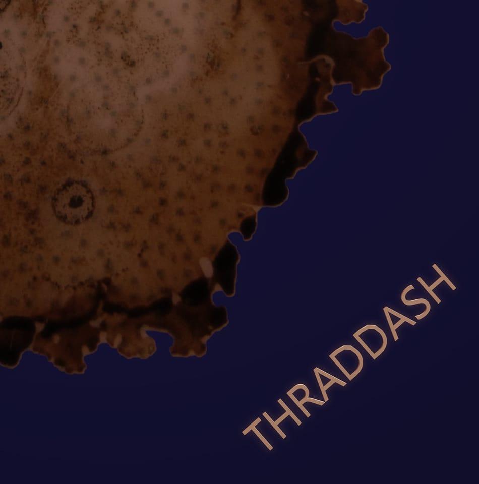 THRADDASH