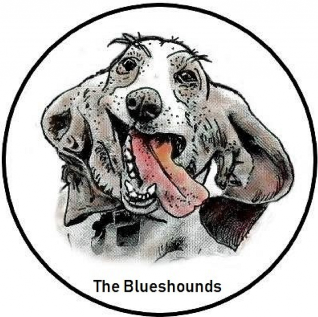 The Blueshounds